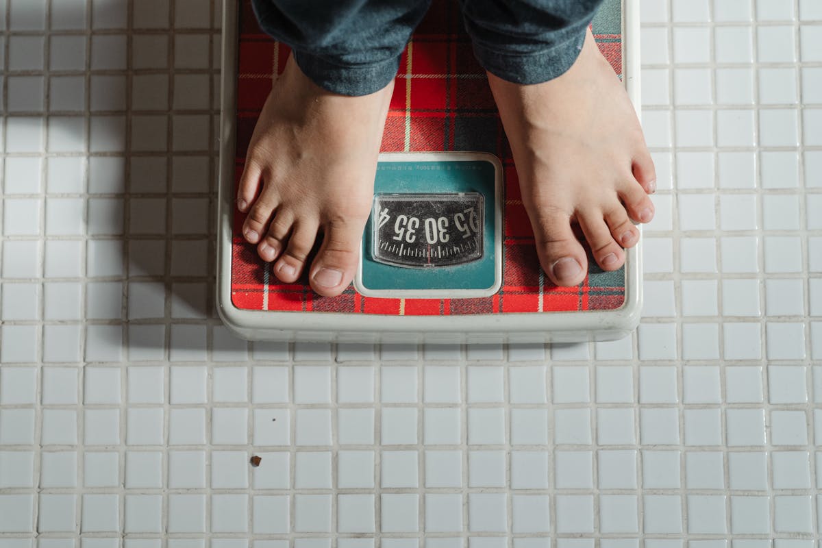 Bench Weighing Scale