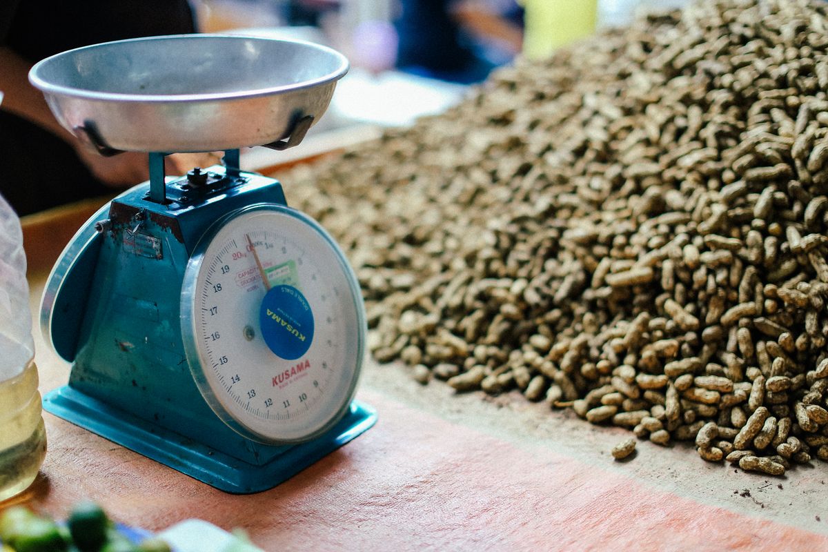 Pallet Weighing Scale